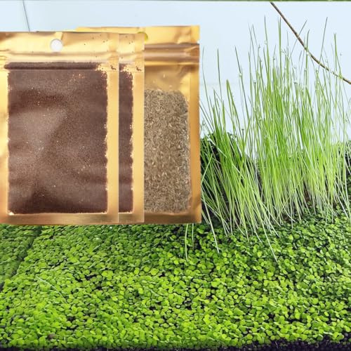 ZUQOVI Confezione da 3 semi di piante vive per acquario e acquario, decorazione per piante acquatiche d'acqua dolce erba nana mini foglia pelosa erba per capelli zmml4 22