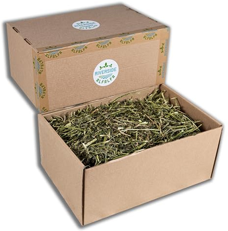 Riverside Organic Alfalfa Hay – Lucerne Alfalfa Hay for Guinea Pigs, Rabbits, Goats, Poultry, Cattle - Alfalfa Horse Feed - Hay for Hens, Chickens, Bedding - 1000 gr