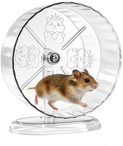 Dengthrive 24cm Silent Hamster Wheel Syrian Large Hamster Wheel Acrylic