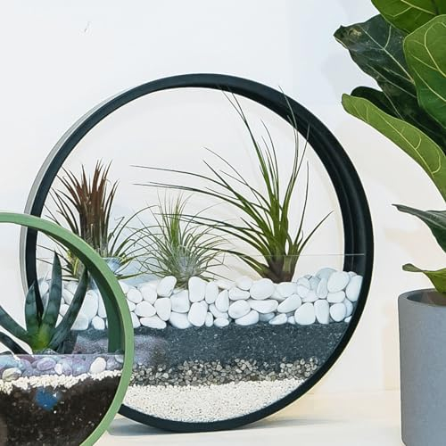 Steine Kleine Kieselsteine Weiße Dekosteine für Vasen - Deko Aquarium Steine Weiß Kiesl zum Basteln Zierkies Gartensteine Gartendeko Weisse Steine Garten Stein Aquarienkies - 1,9kg