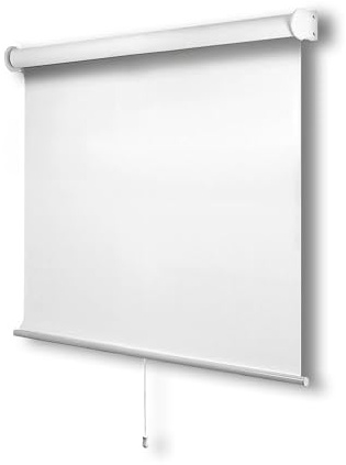 CHICOLOGY Roller Window Shades , Window Blinds , Window Shades for Home , Roller Shades , Window Treatments , Window Blinds Cordless , Door Blinds , Byssus White (Blackout), 23W X 72H