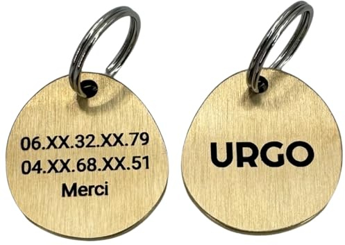 Heavy Medal för hundar eller katter med äggform, tjock anpassningsbar, personlig identitetsetikett, mässingsmedalj