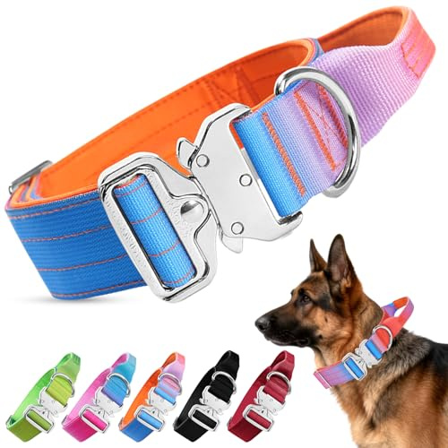 Ledeak Taktisches Hundehalsband, Breites Halsband Hund, Gepolstert Nylon Hunde Halsband mit Griff, Verstellbar Dog Collar mit Metallschnalle für Mittlere Große Hunde (Orange Lila Blau Farbverlauf, M)
