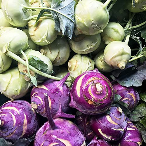 semi di cavolo rapa biologici, giardino resistenti in vaso da esterno, vecchie varietà decorazione 80pcs