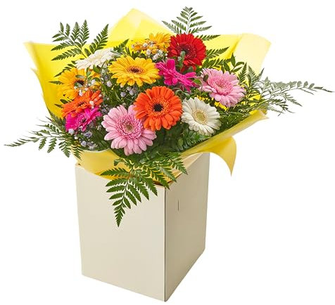 Glamorous Bouquet Vibrant Gerbera Flowers Fresh Floral Delivery for Birthdays, Celebrations, Anniversaries, Get-well, Thank-you Indoor Decoration, Thoughtful Gift for any Occasions
