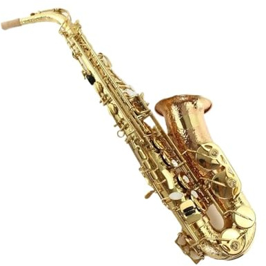 Professionell Saxofon Altsaxofon Fosforbrons Guldpläterad Ess klaviatur Med Fodral