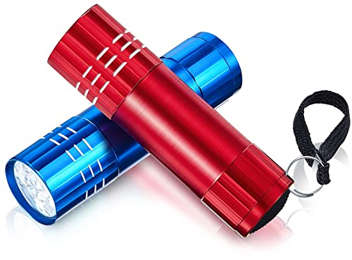 Riakrum 2 Pcs Mini Pocket Torch Small Handheld Torches Kids Led Flashlight 3 Inch Waterproof Pencil Torch with Lanyards for Camping Hiking Outdoor, Batteries with Insulation Card Included (Blue, Red)