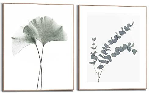 REINDERS Bilder Set, Ginkgo Eucalyptus, Schlafzimmer, MDF, 50 x 40