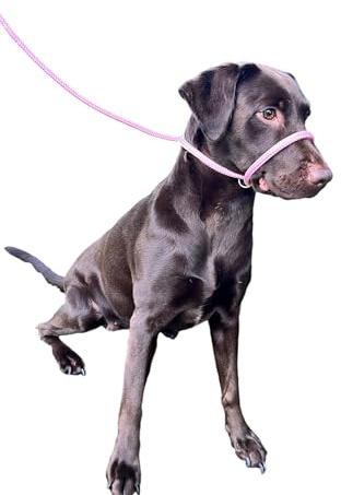 L&J Pets UK All-In-One Figure 8 Anti-Pull Lead/Halter & Head Collar (Pink)