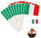 100 Stück Italien Deko Flagge Zahnstocher Flaggen,Italienische Deko Cocktail für 2025 Damen Fußball EM Eurovision WM Olympische Cupcake Topper Toothpick Cocktail Party Pub Deko Italienischer Abend