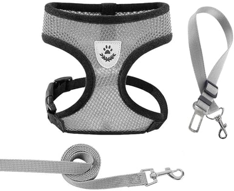 ARYIMYDP 3-en-1 Arnés de Malla Ajustable (Pecho 42-56cm) para Gato Pequeño y Gatito 4-6kg, Arnés para Gato con Correa y Cinturón de Seguridad para Coche, Transpirable y Antifugas, Gris