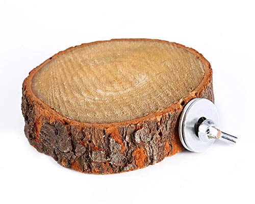 Perchoir Perroquet, Plate-Forme de Perchoir en Bois de Naturel Perchoir à Oiseaux pour Perruches, Hamsters, Calopsittes, Conures, Pinsons, Écureuil, Accessoires pour Cages à Oiseaux