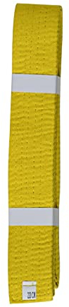 Lisaro kampfsportgürtel Karate Judo Taekwondo Ju Jutsu BJJ Gürtel Gr. 160-300 cm (gelb, 220)