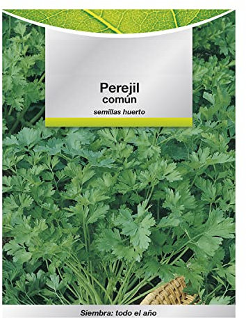 SATURNIA Semillas Perejil Comun (8 Gramos) Semillas Verduras, Horticultura, Horticola, Semillas Huerto.