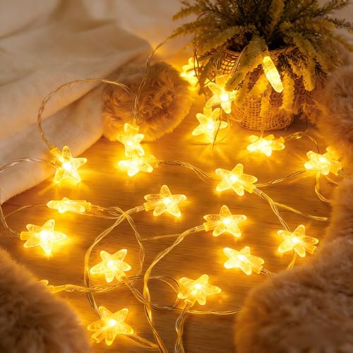 Songlypian Luci Stringa Stella,6M 40 LED Catena Luminosa,Luci Stringa Natalizie Decorazione,per giardino vaso campeggio Natale Decorazioni interno,Bianco Caldo