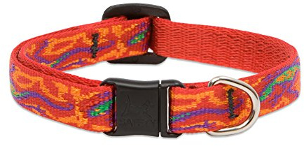 LupinePet Originals 1/2 Go Go Gecko Cat Safety Collar , 8-12