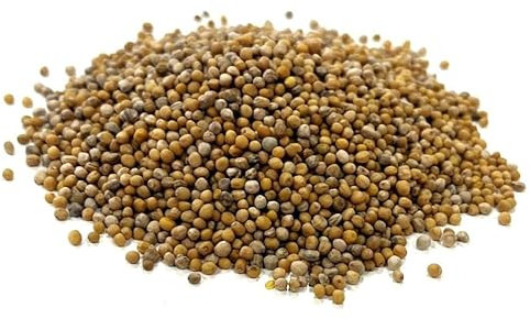 Agricultural Mustard Seed 200g Green Manure SLMH