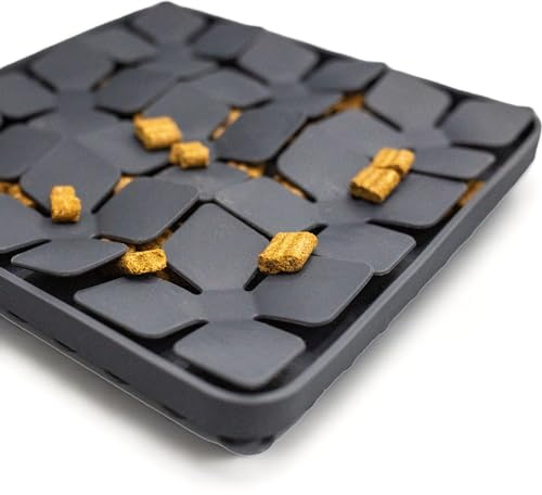 Lucky Hearts Schleck - und Suchmatte Fly (schwarz)