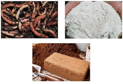 Original Organics Basic Wormery Starter Kit