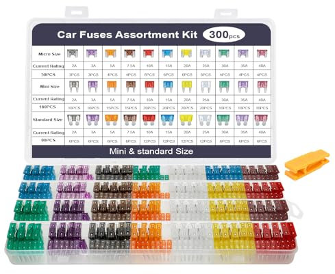 AiQInu Fusibili Auto Assortiti Kit 300Pcs, 160 Fusibili Mini+90 Fusibili Medio+50 Micro Fusibile+1 Estrattori per Fusibili per Auto/Moto (2A 3A 5A 7.5A 10A 15A 20A 25A 30A 35A 40A),12v-32v