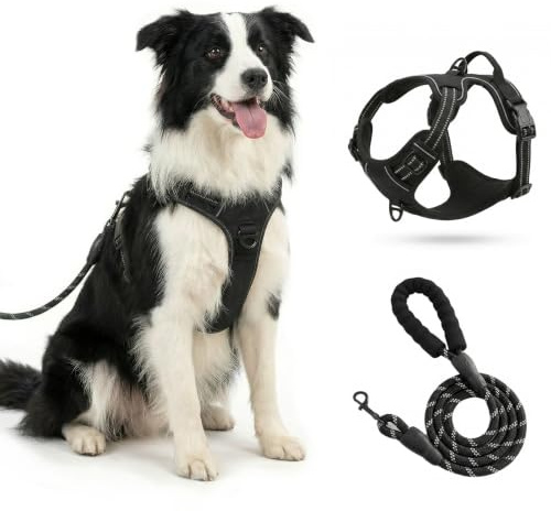 Harnais pour Chien sans tracas - Accessoire pour Chien Réfléchissant - Gilet rembourré et Doux，Gilet Réfléchissant Réglable avec Attache，Noir,M.