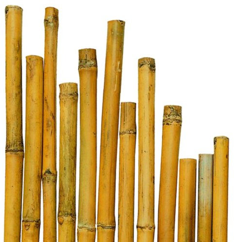 CANNA CANNETO PER PIANTE IN BAMBU 25 PZ AGRICOLTURA ORTO Ø 26-28 MM H 2,10 MT