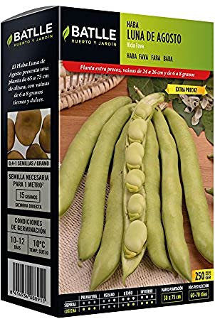 Semillas Batlle Graines de Haricots Lune d'août 250 gramos, Vert