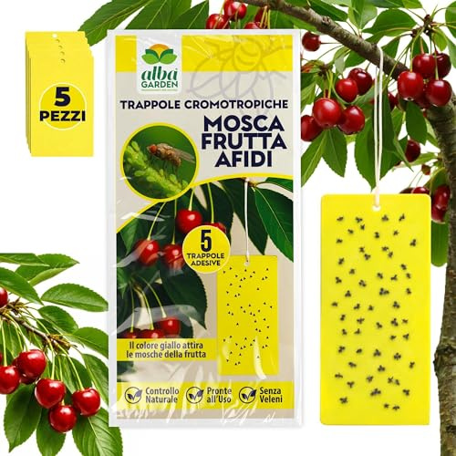 Albagarden - Trappola Cromotropica Gialla Per Mosca della Frutta - Adesiva A Doppia Forza - Pannelli Cattura Insetti, Trappole Anti Insetti X 5 Pz