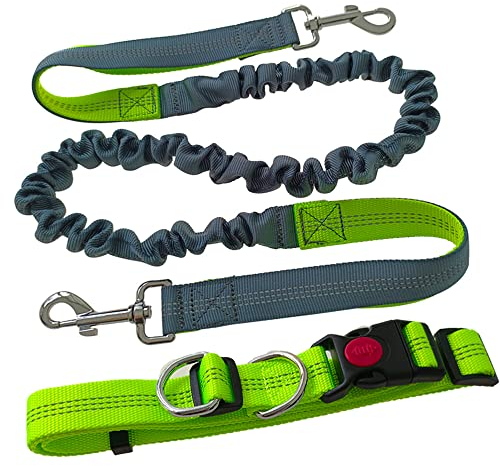 Aiqeer Freihändige Hundeleine, Grün Verstellbarer Hüftgurt und Grau Dehnbare Bungee-Leine, Jogging Hundeleine mit Reflektierenden Nähten
