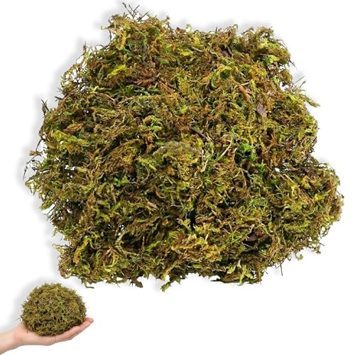 XIYING Decorative Moss 100g Pack, Artificial Faux Moss for Indoor Planters, Bulk Craft Moss for Mini Landscapes and Displays