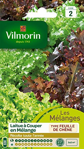Vilmorin 3609242 Pack de Graines Laitue à Couper en Mélange Bol Vert/Rouge