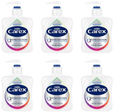 Carex 2 Hour Protection Antibacterial Moisture Hand Wash, Boosted Moisturising Action, Added Vitamin E for Soft Hands, Bulk Buy, Pack of 6 x 250ml