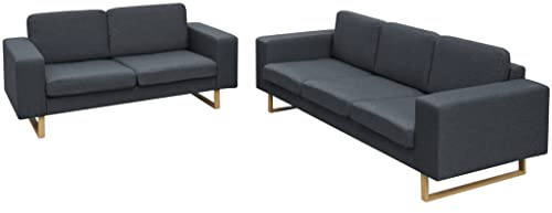 vidaXL Ensemble de canapés à 2 Places et à 3 Places pour Salon Sofa Gris foncé