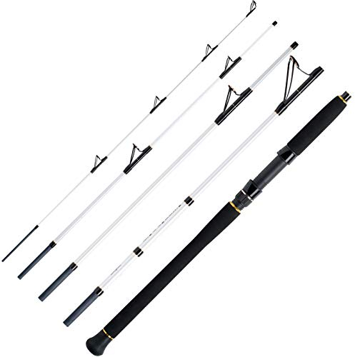 WFT Salzmeister Köhler Jigger 2,65m 25-120g 5pc.