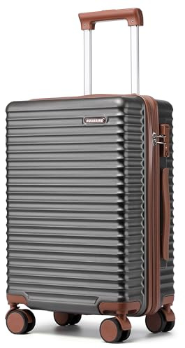 Ruausine 20-Inch Carry on Luggage, 55x40x20cm Cabin Suitcase with 4 Spinner Wheels & TSA Lock, Hardshell Lightweight Travel Suitcase, Small Rolling Luggage (Grey, 20 Inch)