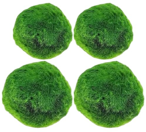 StaZamor 4 st levande Marimo mossbollar för akvarium, 2,7–3,3 cm gröna vattenväxter för akvarier, naturligt vattenfilter och dekoration