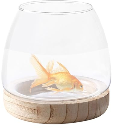 Aqua Bowl Glass Rangement Paysage Paysage Fish Aquarium Verre Fleur Plant Hydroponic Plant Terrarium en verre, coque en vase en bois transparent | Vase pour fleurs, vase en verre, coquille de poisson,