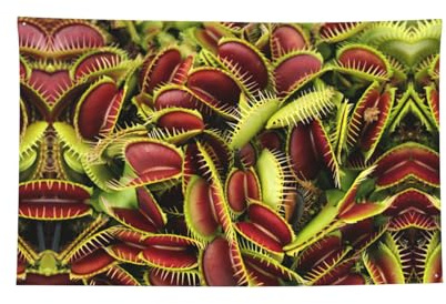 Tapiz horizontal con estampado de plantas carnívoras, bandera duradera para interiores y exteriores para fraternidades y festivales