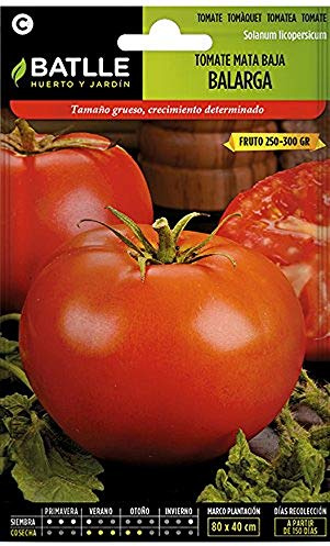 Semillas Batlle Tomate BALARGA