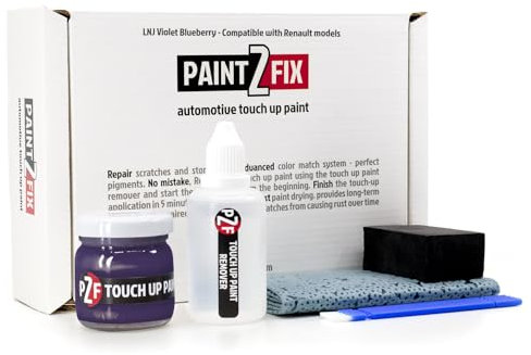 LNJ Violet Blueberry Kit de Peinture de Retouche pour Renault Réparation des Rayures et des Ecailles