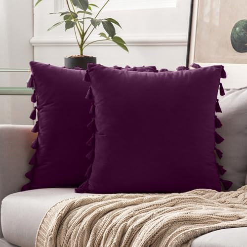 VanderHOME 2er Set Samt Kissenbezüge Samtkissen Weich Dekokissen Dekorativ Kissenbezug Modern Kissenhülle Sofakissen Zierkissen für Couch Sofa Schlafzimmer Zuhause 45x45cm-Aubergine