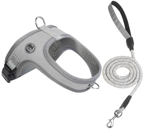Dog Harness and Leash Set, No Pull Saddle Style Pet Harness, Breathable Mesh Adjustable Reflective Dog Vest for Medium Small Dogs Harness 2 D-Rings, Grey, S