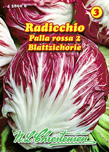 Radicchio, Palla Rossa 2 N.L.Chrestensen Samen 458008-B