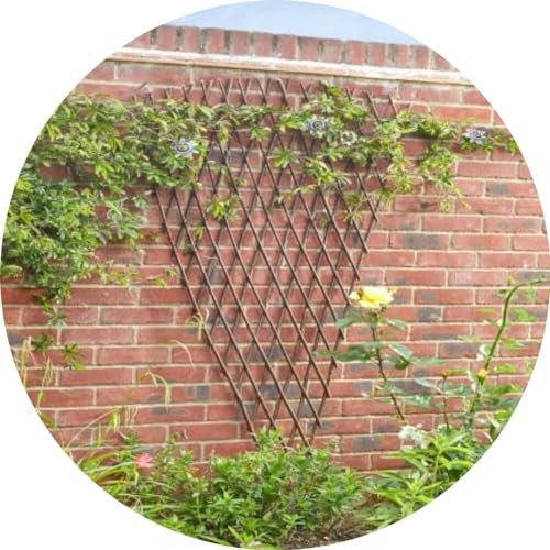 Gardening Naturally Willow Fan Shaped Trellis – 1.8m High, Expanding Width up to 1.5m, Ideal for Garden Walls and Fences