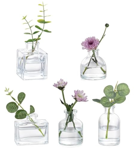 Confezione da 5 mini vasi trasparenti in vetro per fiori, centrotavola, tavolo, feste di nozze, sala da pranzo