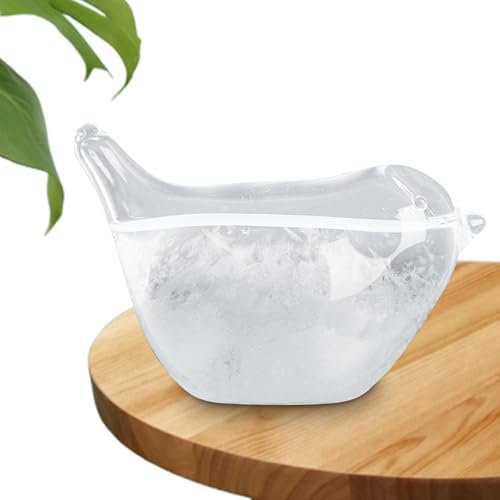 Previsiones De Vidrio De Tormenta: Vidrio De Tormenta Meteorológica, Con Materiales De Vidrio Y Conocimientos Complejos | Previsión Meteorológica De La Oficina Para Decoraciones De Mesa