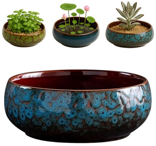 Lotus Bowl, vaso per piante acquatiche in ceramica smaltata, per interni ed esterni, vaso idroponico poco profondo per semi di loto, piante grasse, bonsai, composizione di ninfee (blu)
