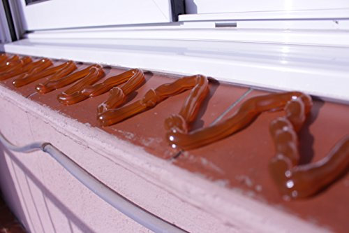 Gel répulsif pour oiseaux - Anti-hirondelles, pigeons, oiseaux. Très efficace.