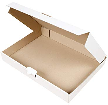 100 Maxibriefkartons 350 x 250 x 50 mm weiß, CARTONARA Maxibrief DIN A4 geeignet für DHL Warensendung und Büchersendung, Versandkarton mit Deckel