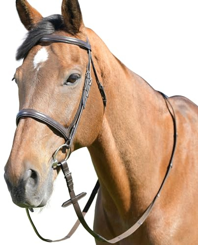 Kincade Classic Plain Raised Cavesson Bridle with Reins, Brown, Full